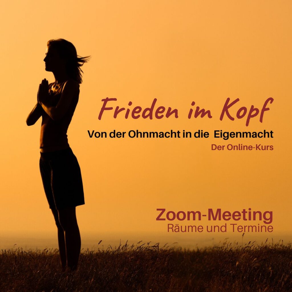 Zoom-Meeting